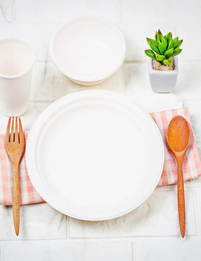 Why Choose Bamboo Crockery
