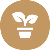 bamboo cutlery making machine