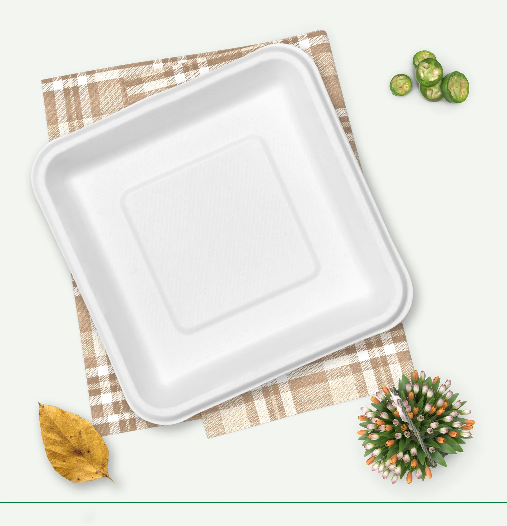 bamboo plates set 