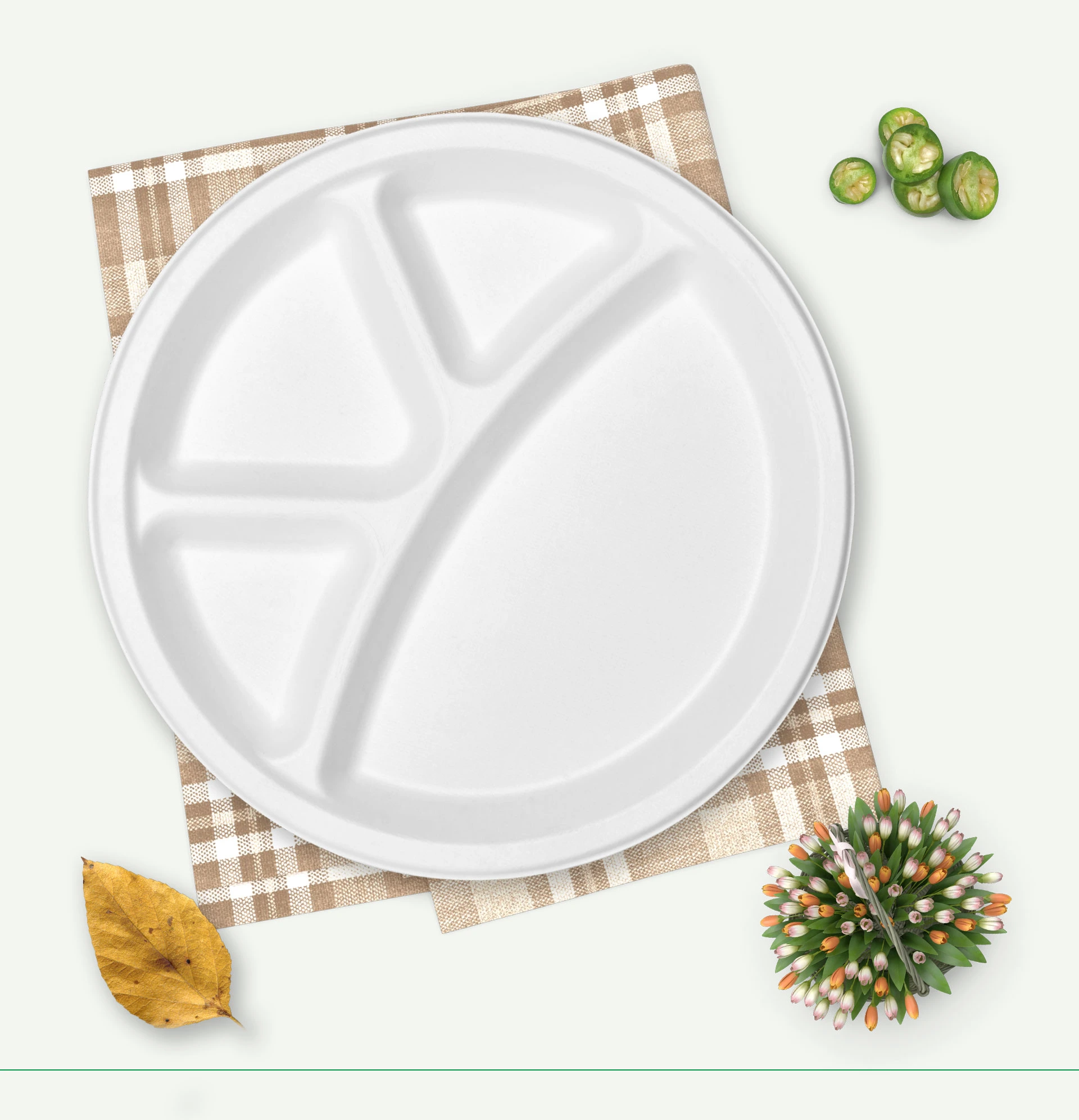 bamboo plates set 