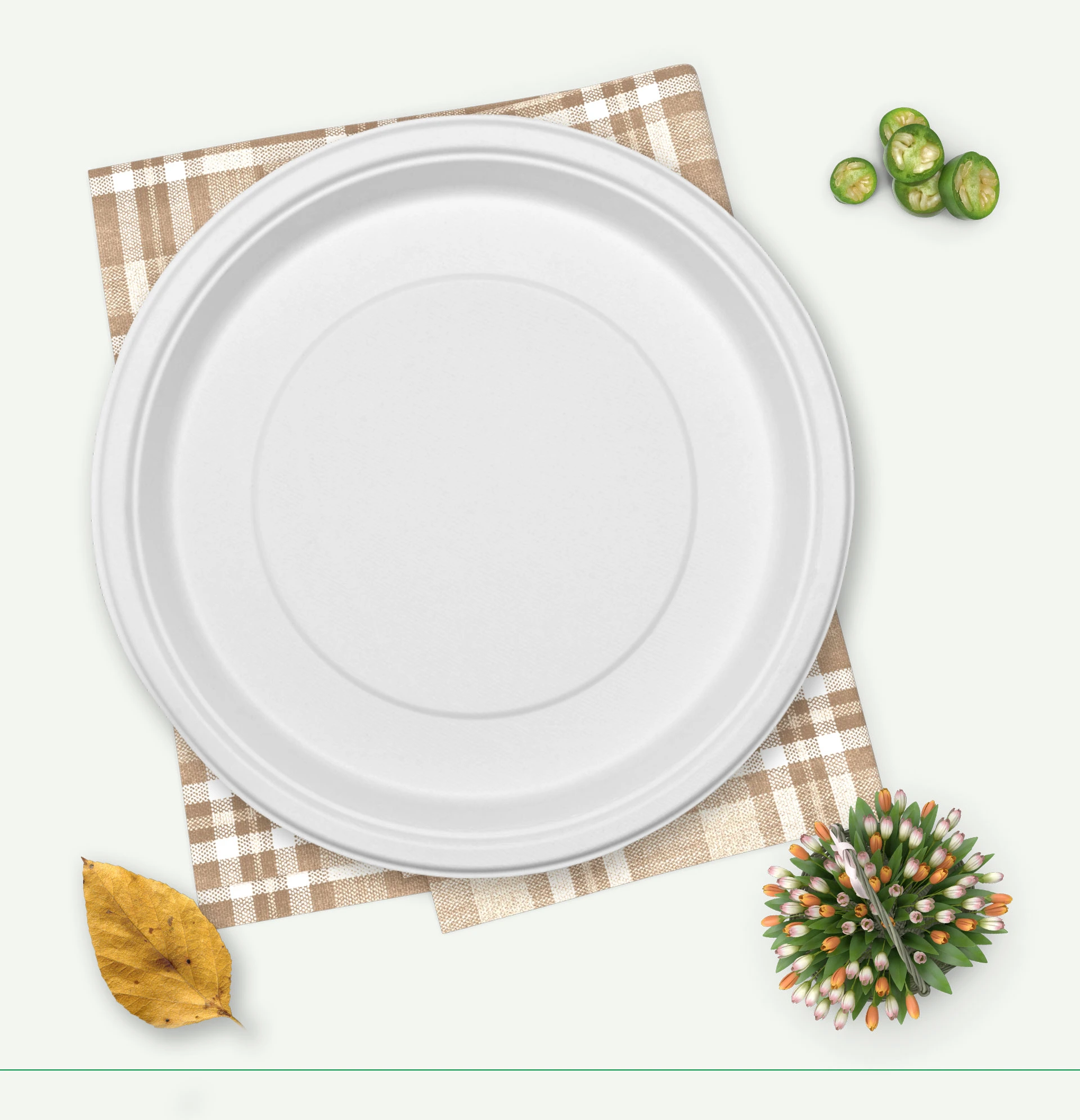 bamboo plates set 