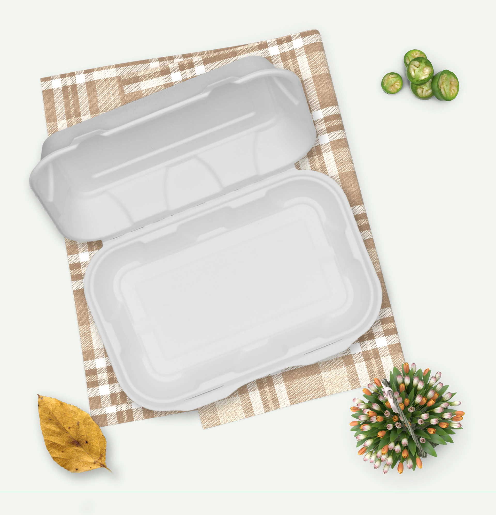 bamboo plates set 