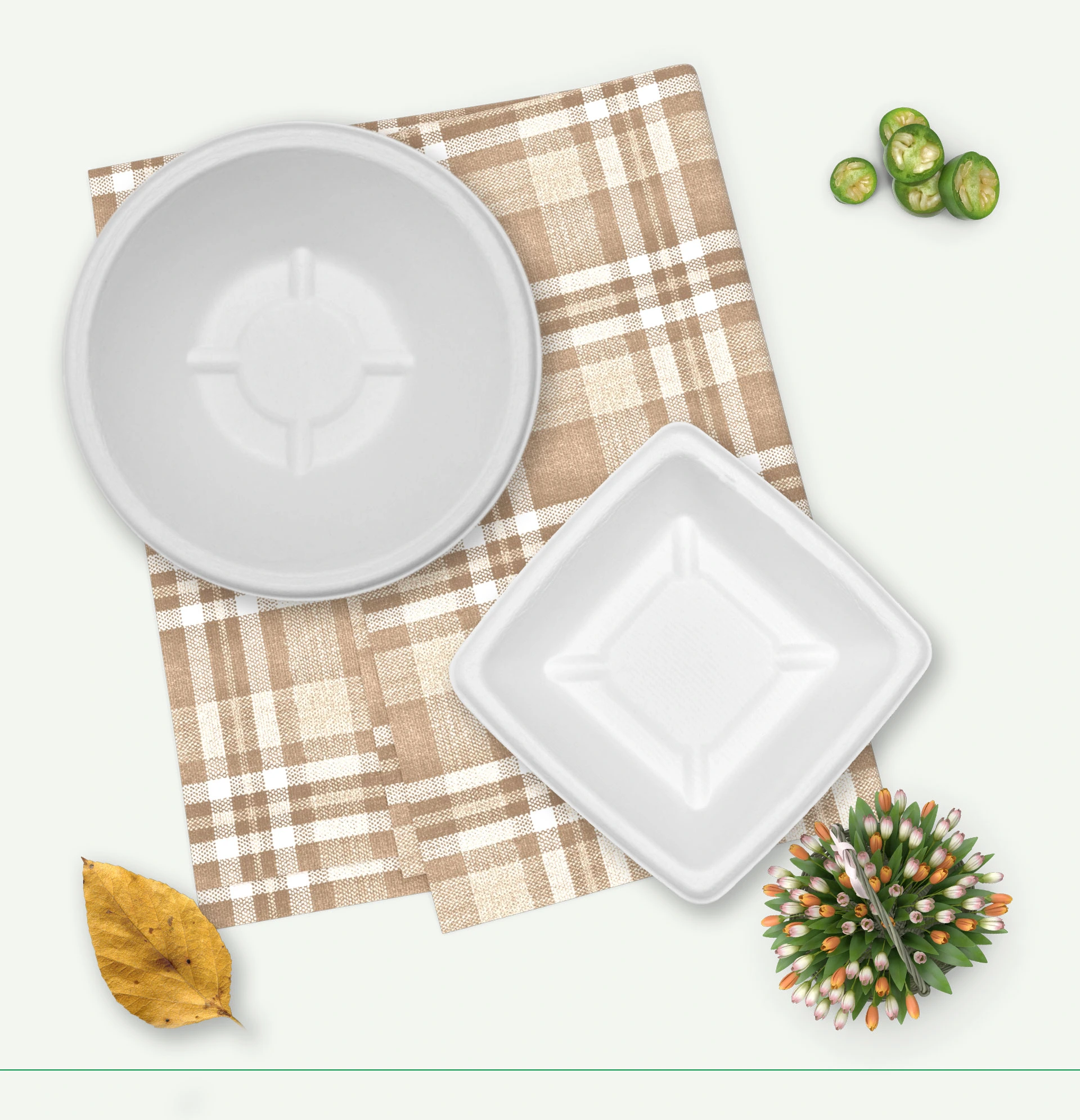 bamboo plates set 